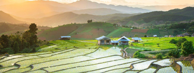 Chiang Mai